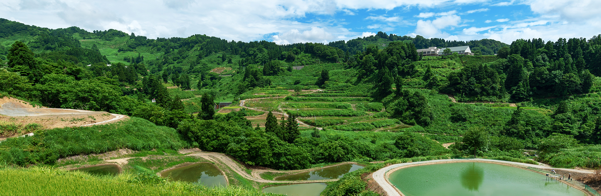 水田（棚田）